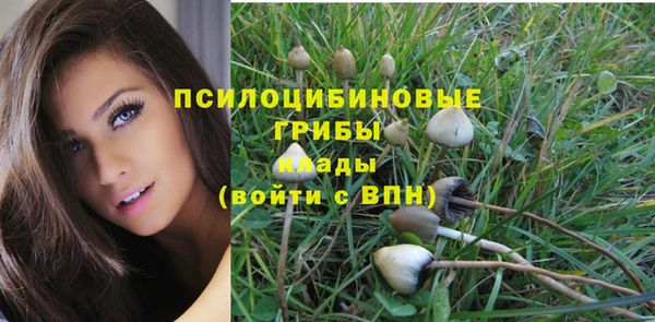 ПСИЛОЦИБИНОВЫЕ ГРИБЫ Алексеевка