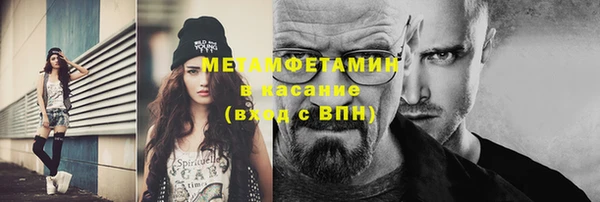 шишки Абаза