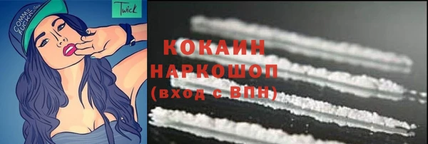 прущий лед Алзамай