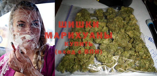 прущий лед Алзамай