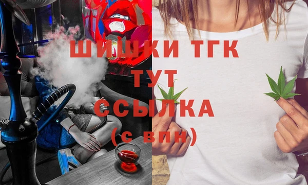 прущий лед Алзамай