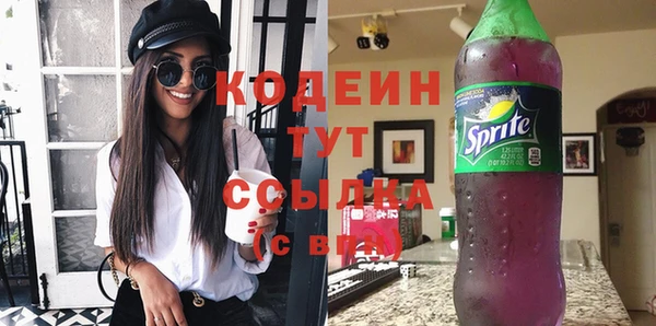прущий лед Алзамай